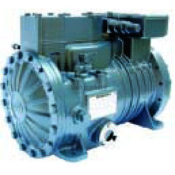 SERIE GUARNIZ 1CCM205