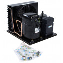 GROUPE TECUM BP AET2420ZBR-LL