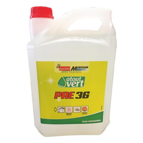 DETERG. DESINF. ATV PAE36-5L