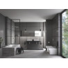 Façade pour combiné monocommande 4 trous montage avec ou sans châssis Eurocube Supersteel 19897DC1