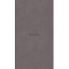 Plaque DECOFAST Béton clair 2000x900x3mm Réf.400354
