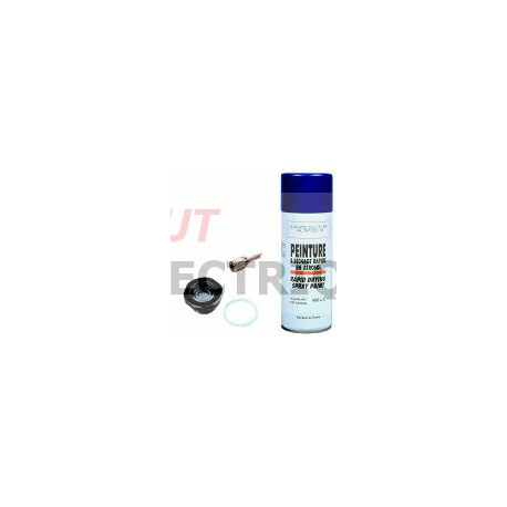 VOYANT HUILE +JOINT 8156019