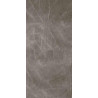 Dalle Natura FW pour sol-mur gris veine NTDFW255120003GV longueur 2550 mm, largeur 1202 mm, épaisseur 3 mm Réf. 1420000876