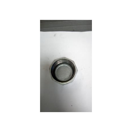 Bouchon hexagonal 300 fonte malléable galvanisée femelle 50x60 réf.300050G