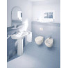 Cuvette suspendue Colomba DURAPLUS, 36x57,5, à fond creux, Blanc réf. 2547090000