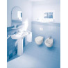 Cuvette suspendue Colomba DURAPLUS, 36x57,5, à fond creux, Blanc réf. 2547090000