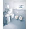 Cuvette suspendue Colomba DURAPLUS, 36x57,5, à fond creux, Blanc réf. 2547090000