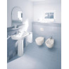 Cuvette suspendue Colomba DURAPLUS, 36x57,5, à fond creux, Blanc réf. 2547090000