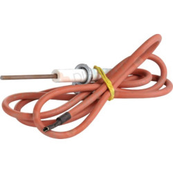 Electrode ionisation avec cable Réf. JJJ008620290