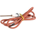 Electrode ionisation avec cable Réf. JJJ008620290