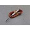 Electrode ionisation avec cable Réf. JJJ008620290