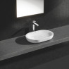 Mitigeur monocommande Lavabo Taille XL Eurodisc Cosmopolitan Chromé 23432000