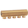 Collecteur de distribution R580/6 1"X16 Réf.R580Y066