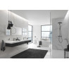 Colonne de douche avec mitigeur thermostatique Euphoria System 310 Hard Graphite brossé 26075AL0