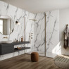 Système de panneaux muraux étanches Polyrey Nuance support composite profil rainure + languette décor Marbre Veneto M022 finition EXM format 260x60cm épaisseur 11,7mm