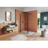 Volet pivotant accessoires WALK-IN EASY volet pivotant positionné à 180° EASY WALK-IN 400x2000 profilé noir mat vitrage gris (07) 6 mm Réf. BTE304060620
