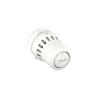 Tête thermostatique React sonde intégrée 015G3090