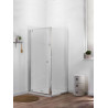 Porte de douche pivotante SERENITY 100 cm chrome Réf. E14P100GA