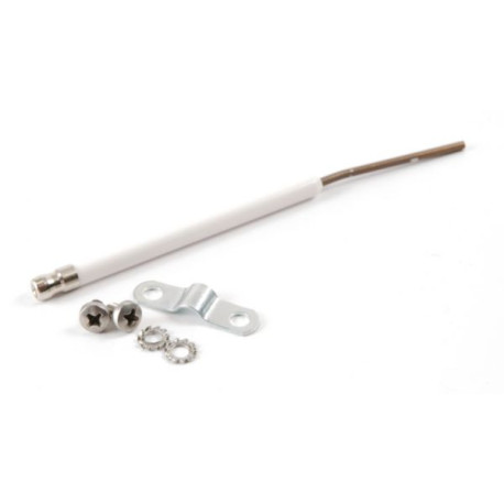 Electrode ionisation 7810148