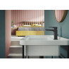 Mitigeur lavabo SEVEN avec vidage Push Velvet Black Réf. SE124118/2BM