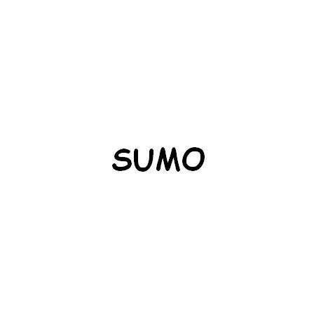 Support sol caoutchouc SUMO 450 mm avec petit rail réf. 6868-045-01