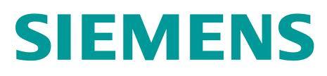 SIEMENS OEM
